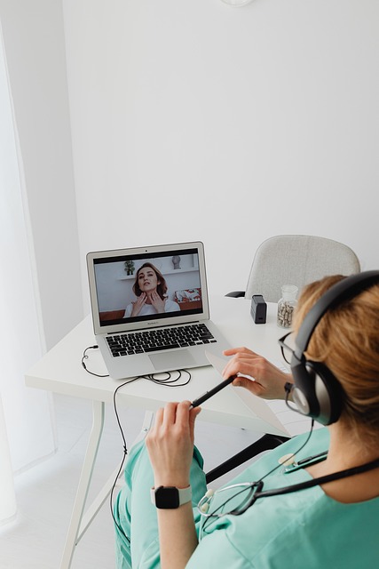 online workshop laptop video call